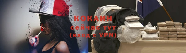 хмурый Яровое