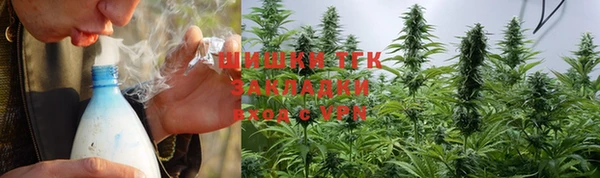 прущая мука Гусев