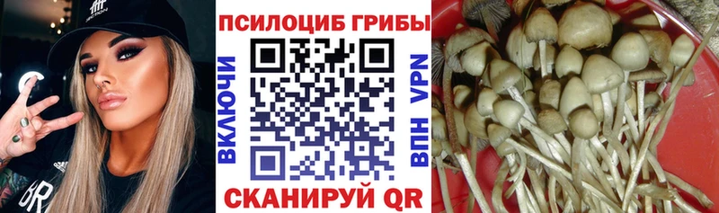 Галлюциногенные грибы GOLDEN TEACHER  Рудня 